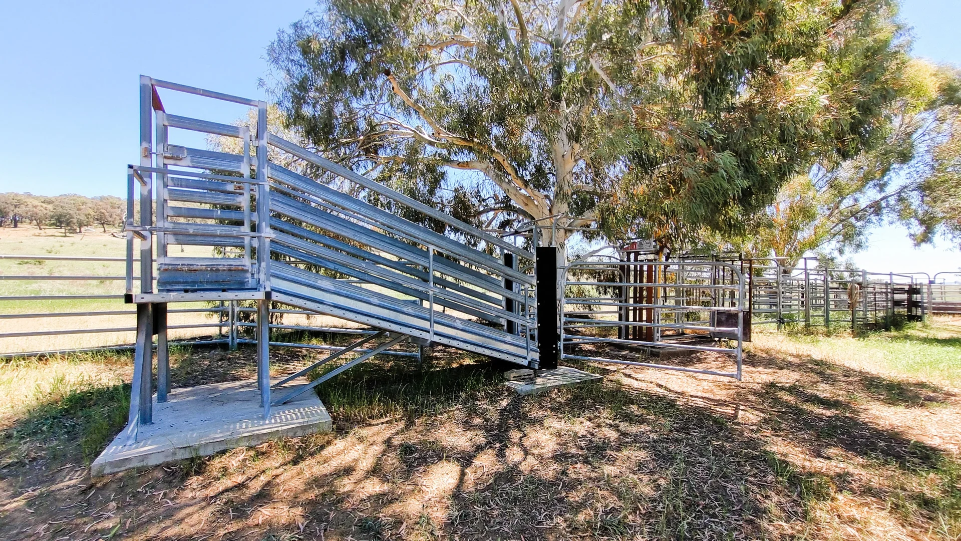 Additional image 22 of 3374 Murringo Road, Young NSW 2594