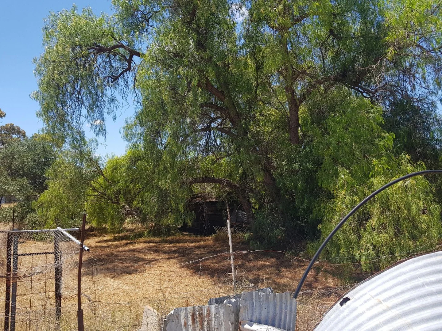 Additional image 3 of 70 Ranfurly Street, Moora WA 6510