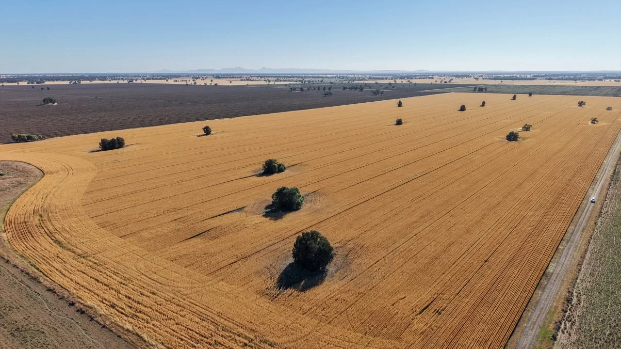 Additional image 16 of 128 Berida-Bullagreen Road, Collie NSW 2827