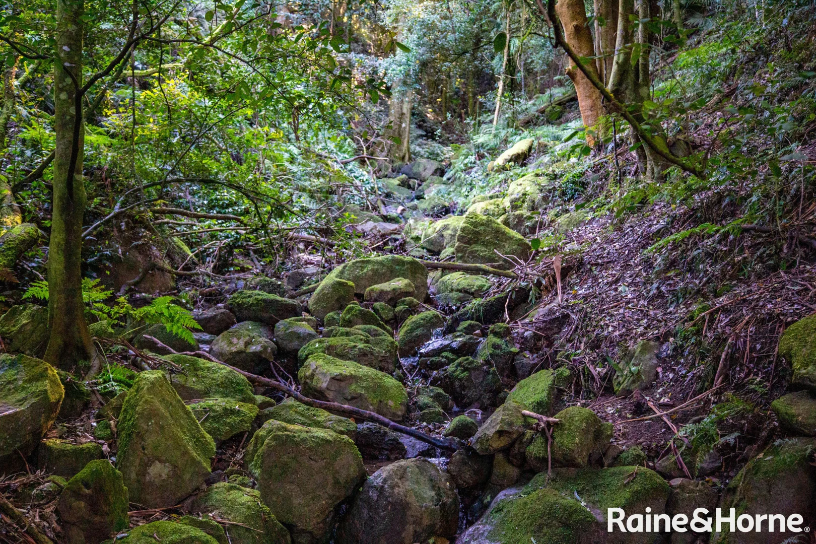 Additional image 14 of 461 Upper Kangaroo River Road, Upper Kangaroo River NSW 2577