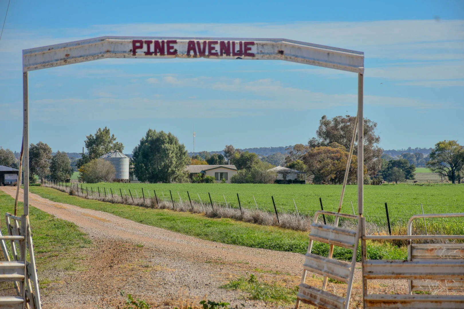 Additional image 28 of 2666 Henry Parkes Way, Gunningbland NSW 2876