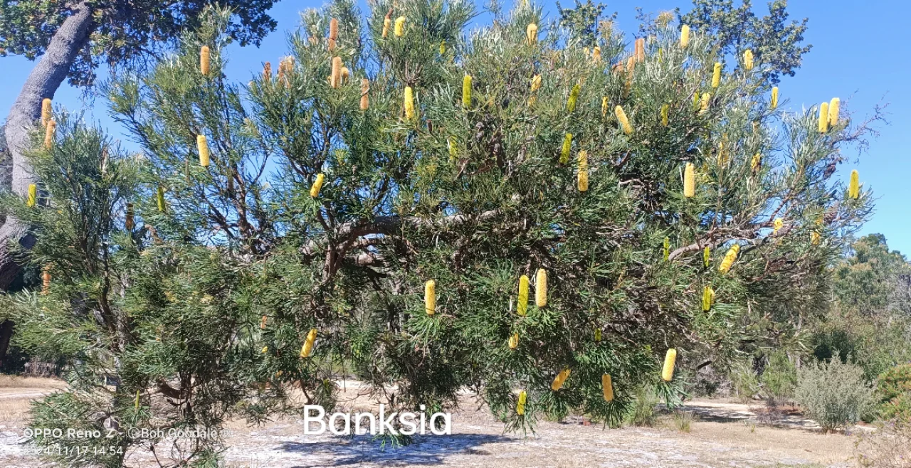 Additional image 6 of West Coolup WA 6214