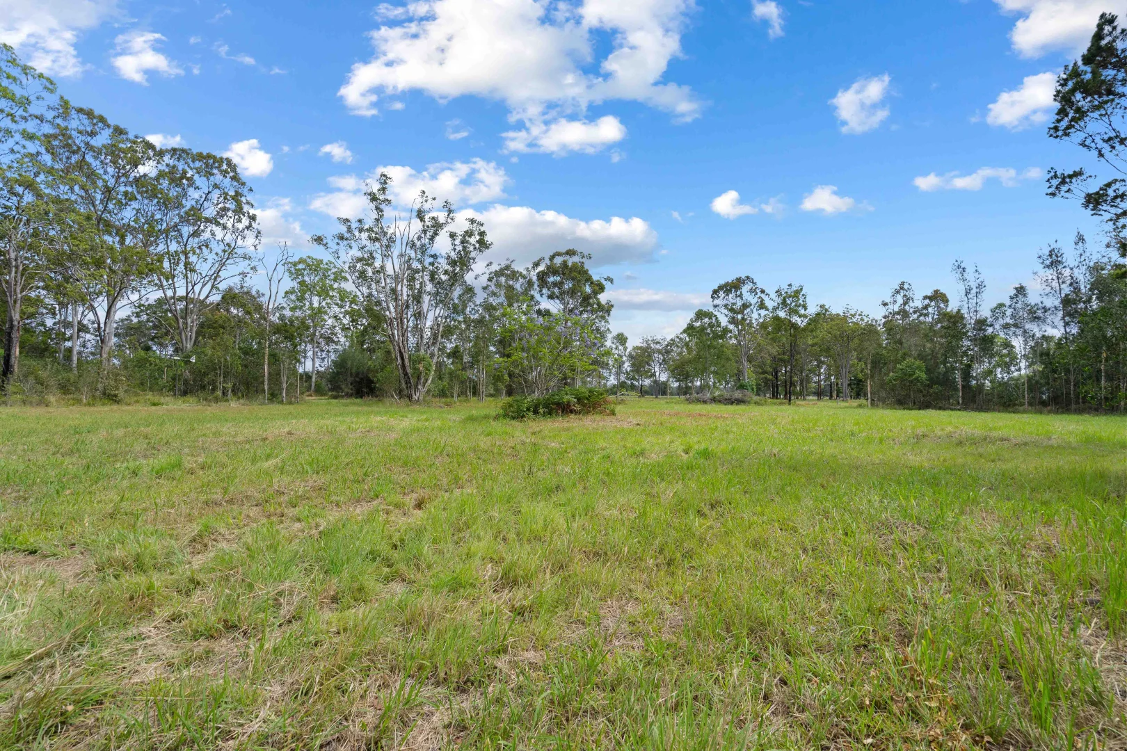 Additional image 2 of 279 Elliots Road, Nabiac NSW 2312