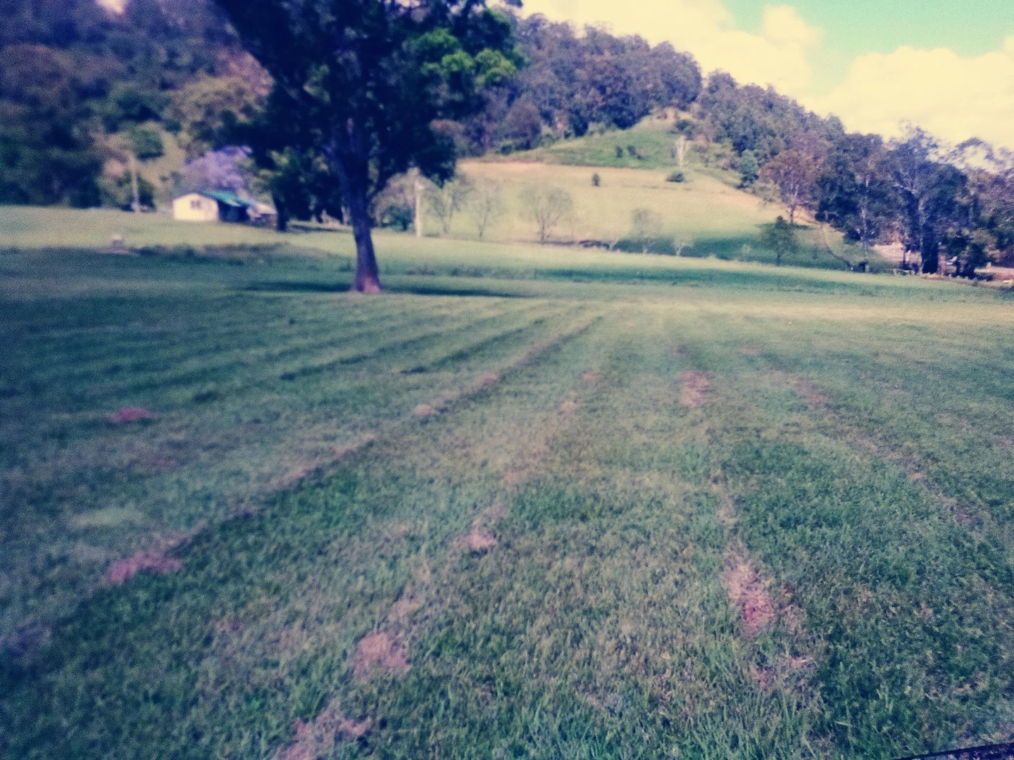 Additional image 8 of 5611 Oxley Highway, Ellenborough NSW 2446