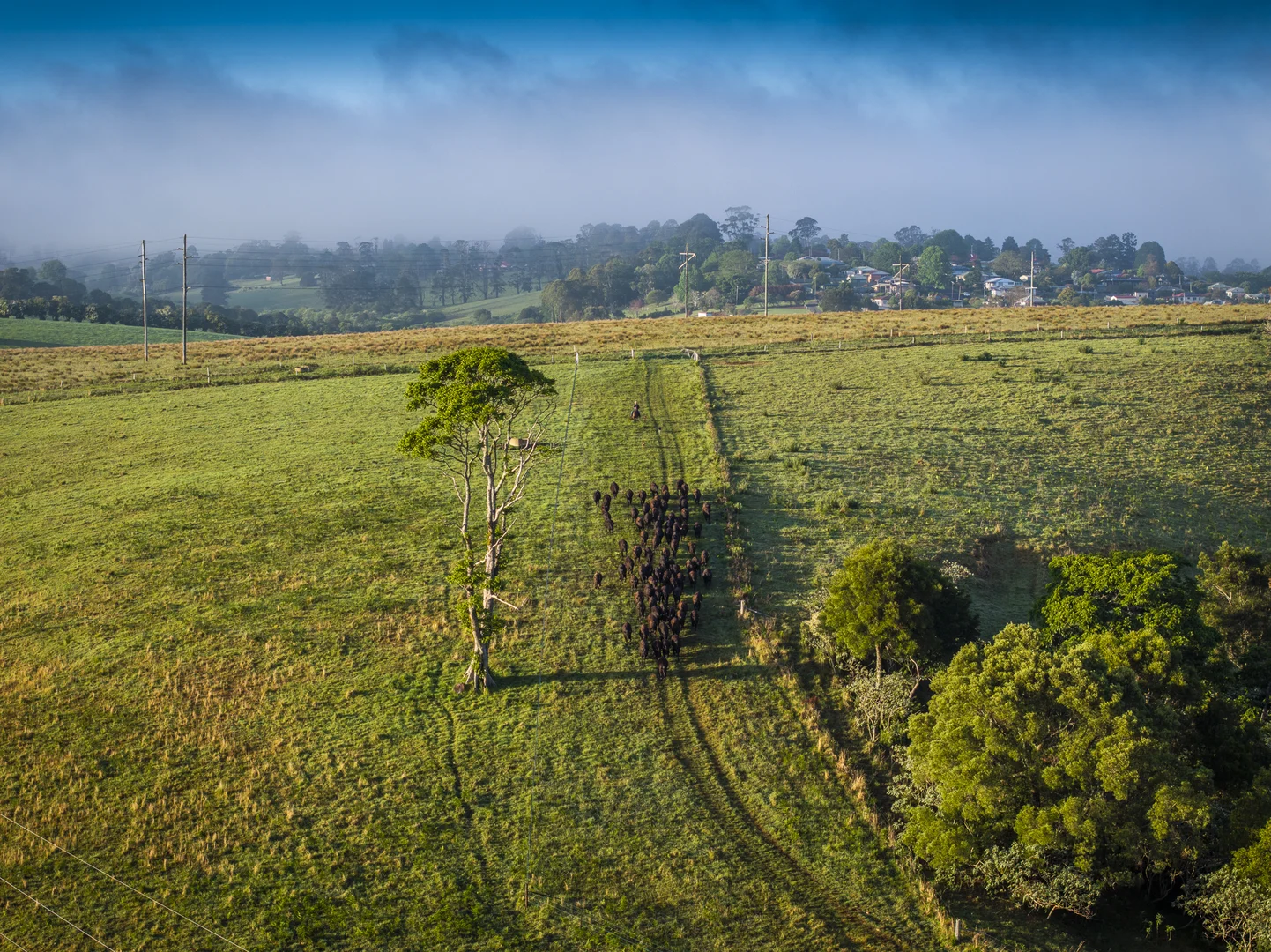 Additional image 13 of 294 Coramba Road, Dorrigo NSW 2453