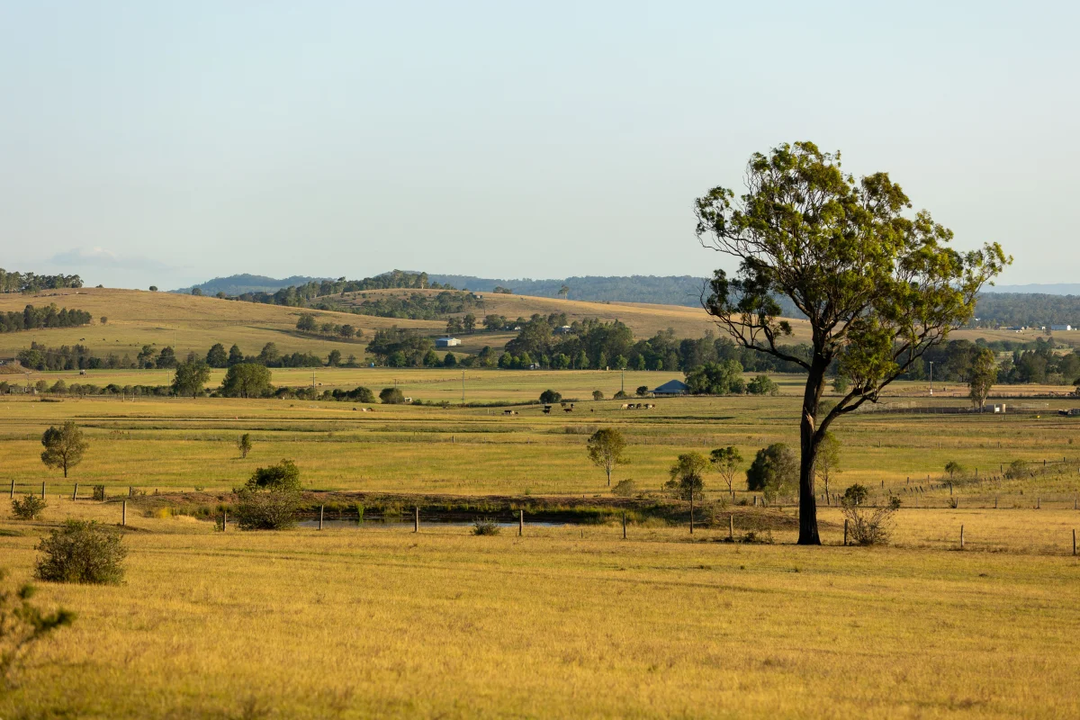Additional image 22 of 880D Elderslie Road, Elderslie NSW 2335