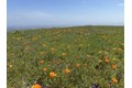 Additional image 79 of 17599 Montebello Rd, Cupertino, CA, 95014