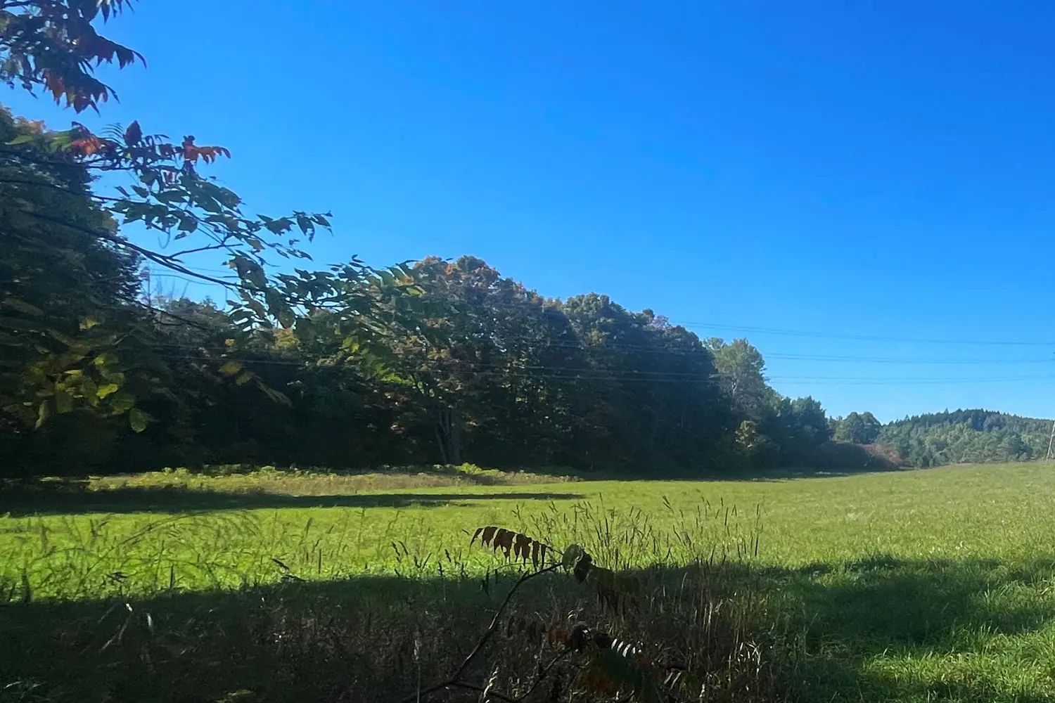 Additional image 7 of 00 Jamieson Road Lot C