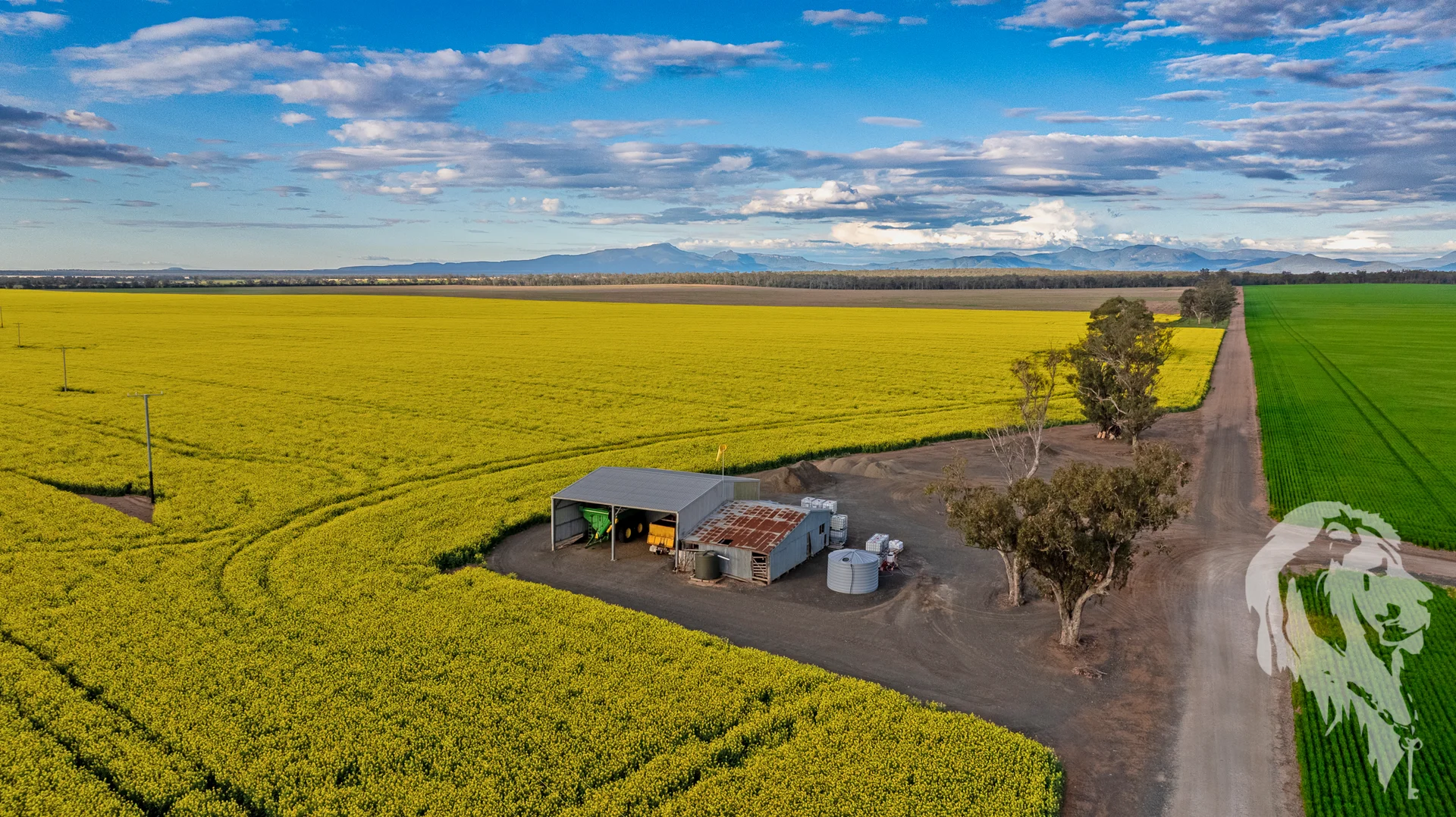 Additional image 12 of 13012 Newell Highway, Narrabri NSW 2390