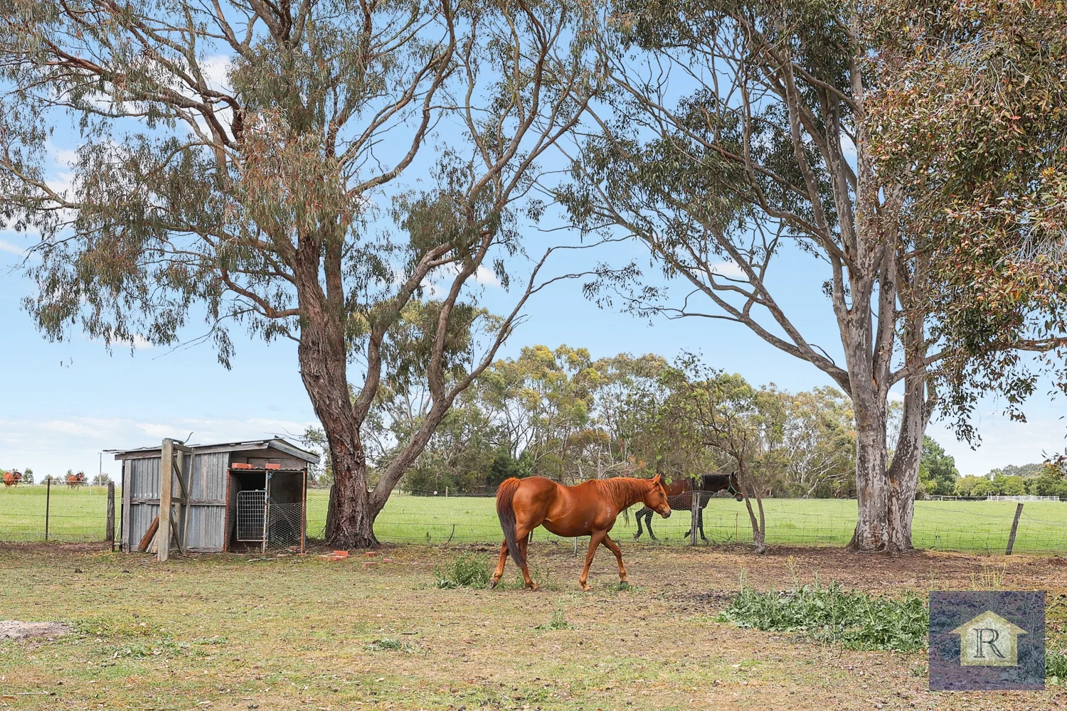 Additional image 7 of 1425 Princes Highway, Pirron Yallock VIC 3249