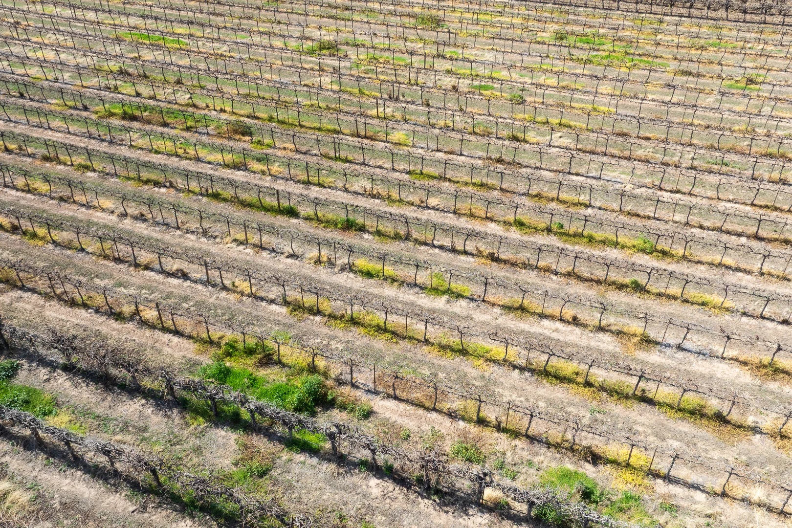 Additional image 38 of 41 Wutke Road, Cobdogla SA 5346