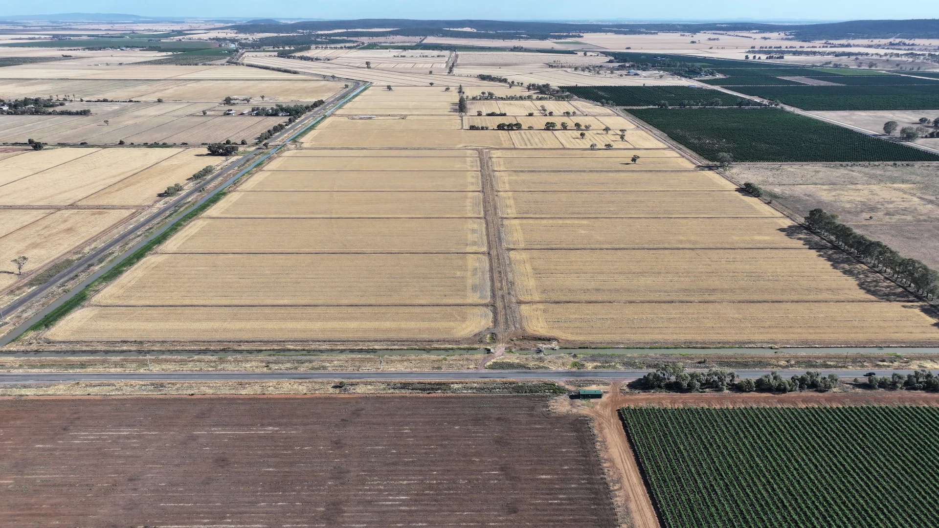 Additional image 2 of Farm 65 Stoney Point Road, Leeton NSW 2705