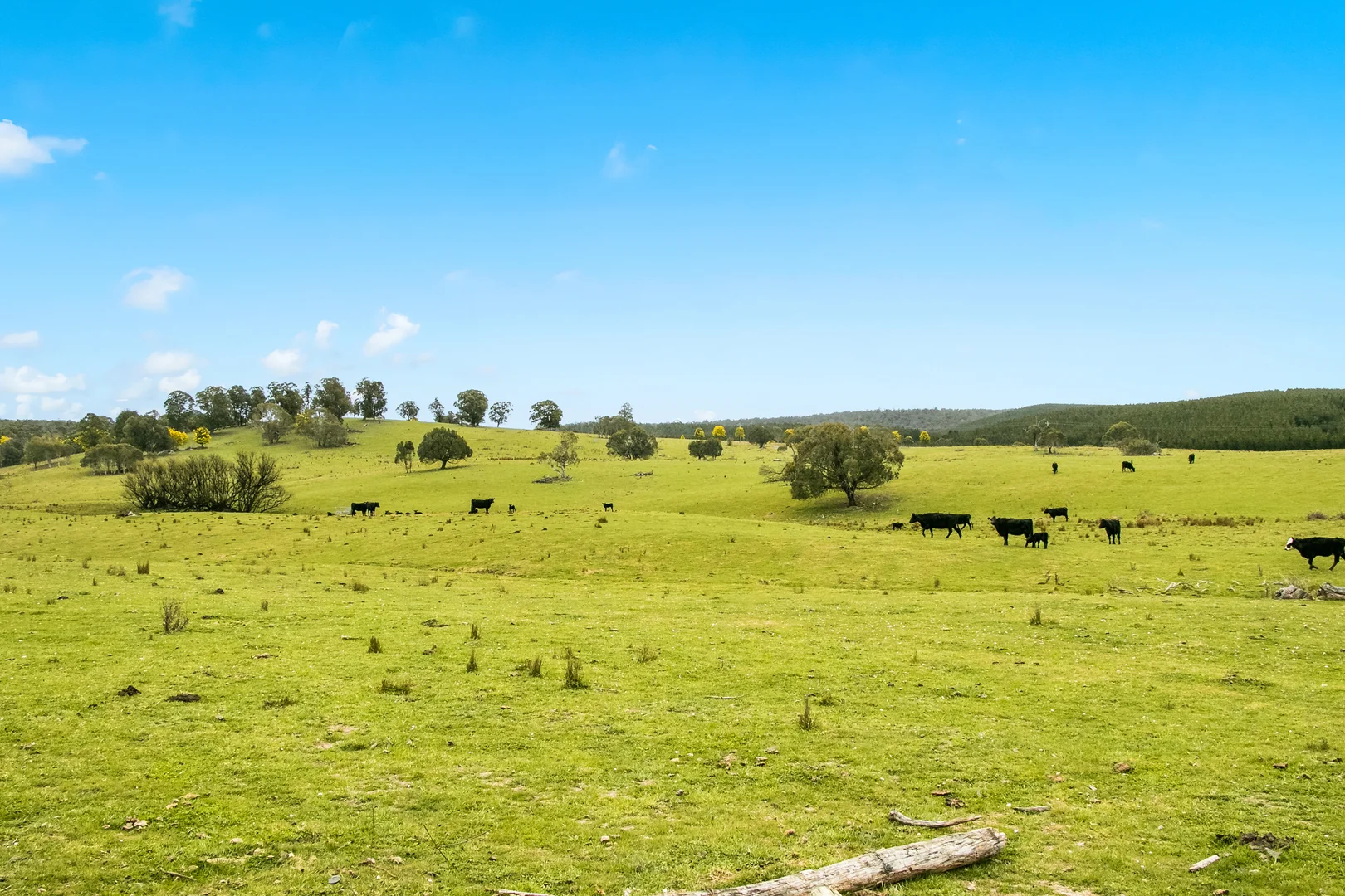 Additional image 18 of 171 Big Flat Road, Bombala NSW 2632