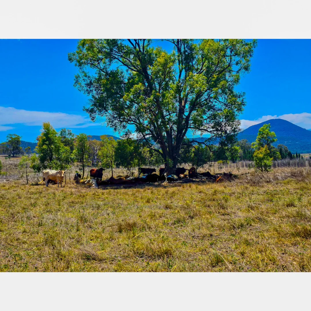 Additional image 21 of Baerami NSW 2333