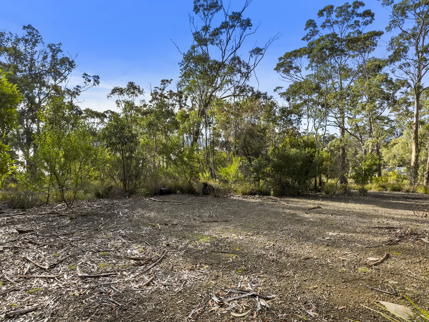 Additional image 13 of 573 White Beach Road, White Beach TAS 7184