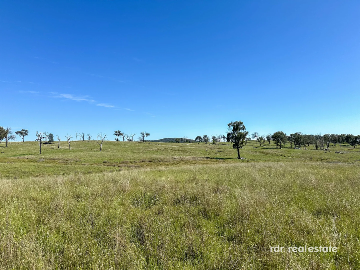 Additional image 14 of 1305 Bingara Road, Bundarra NSW 2359