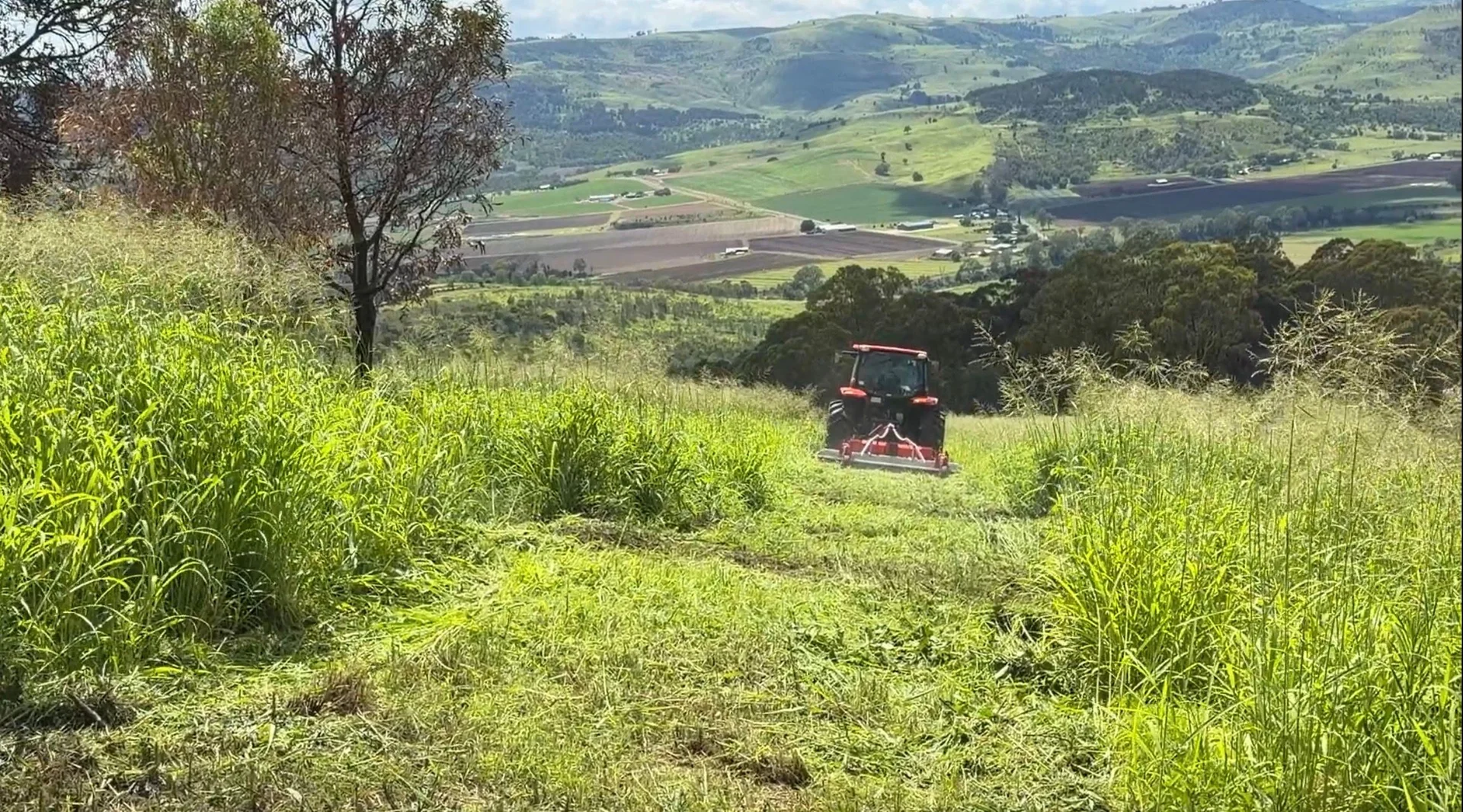 Additional image 5 of Caffey QLD 4343