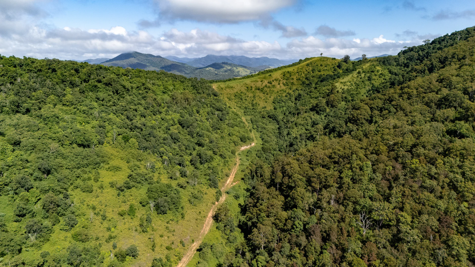 Additional image 12 of 382 Norwood Lane, Mount George NSW 2424