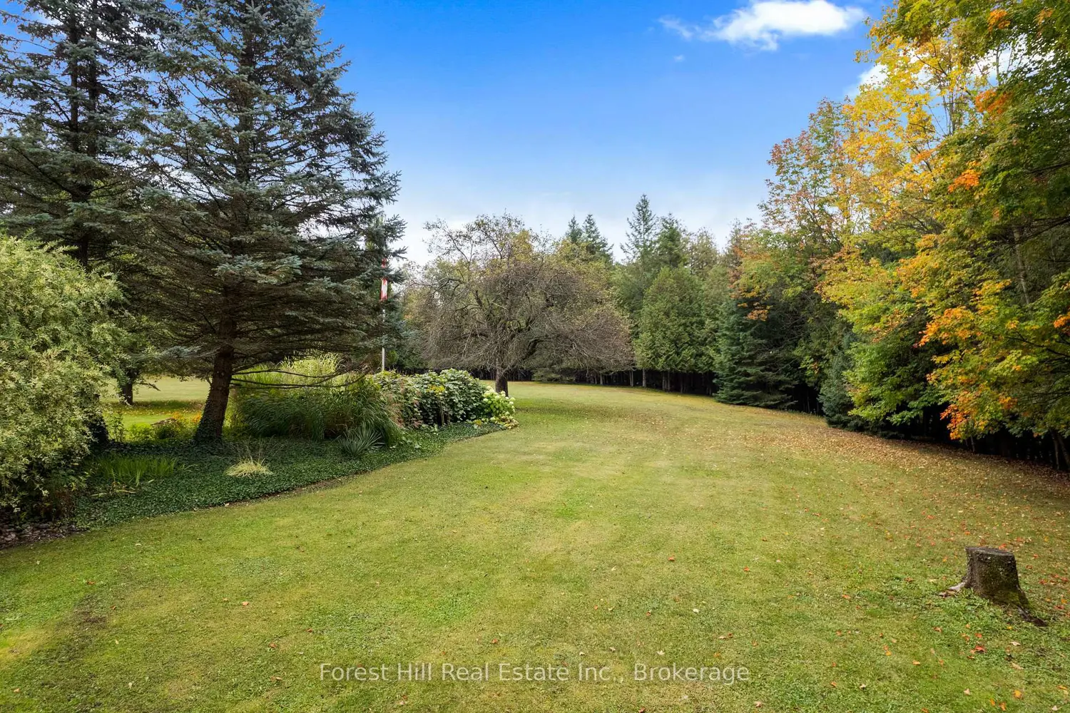 Additional image 10 of 403288 Grey Road 4