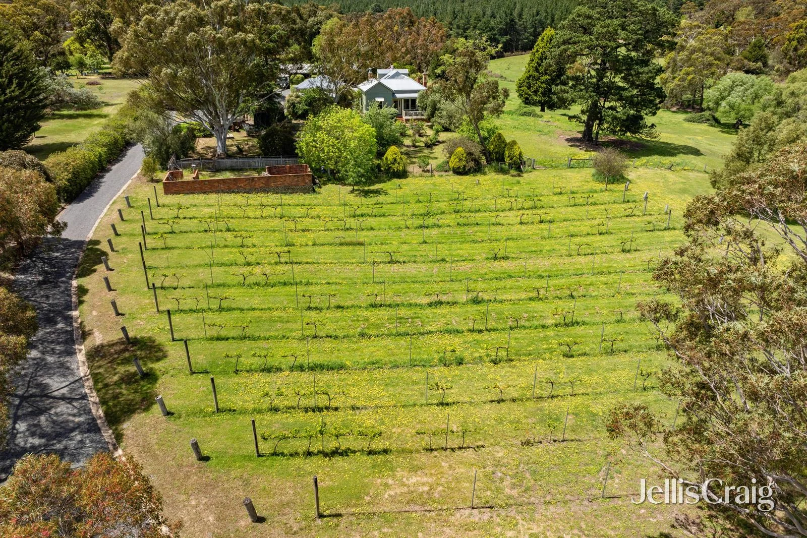 Additional image 12 of 244 Aubreys Road, Magpie VIC 3352