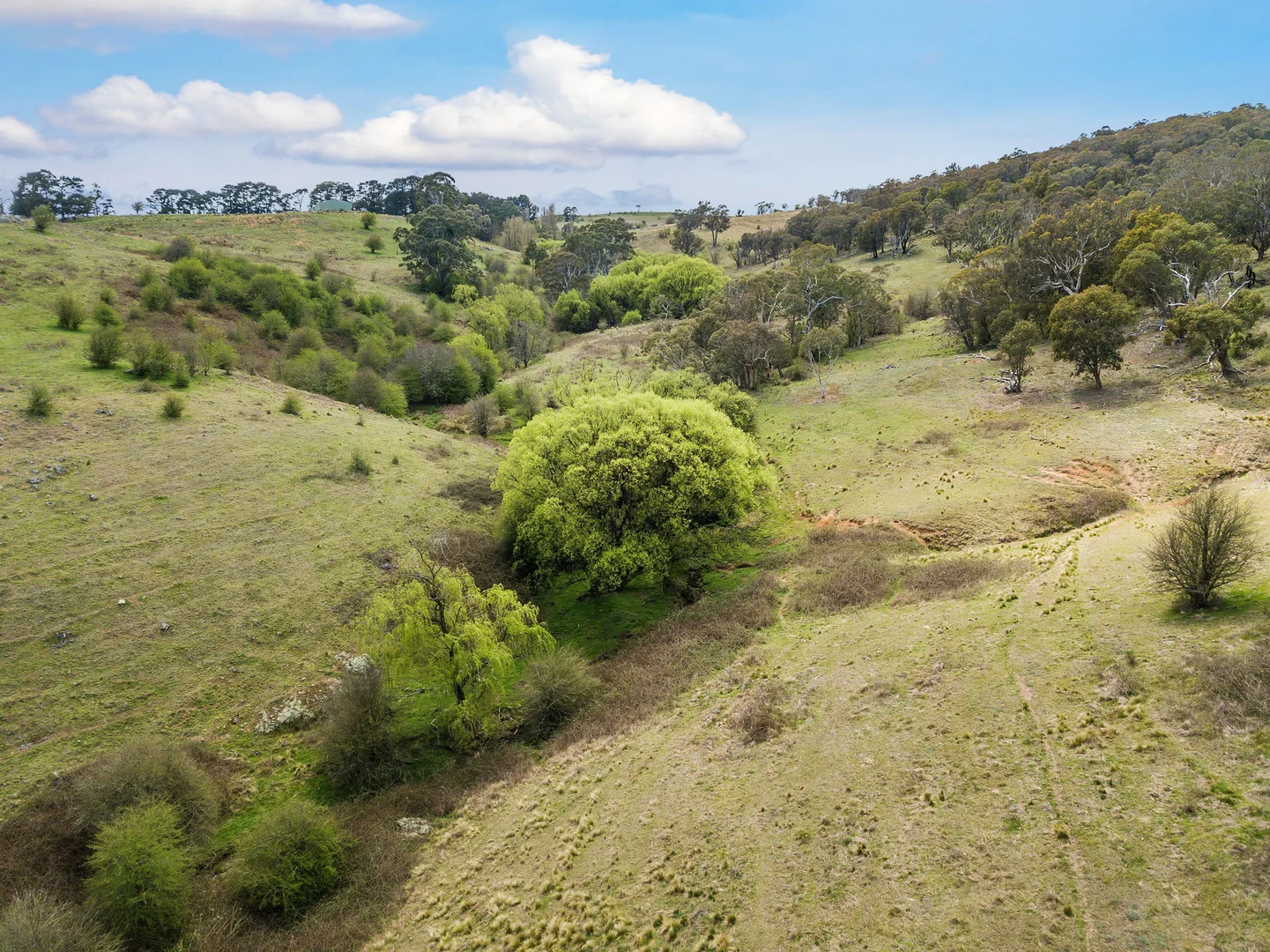 Additional image 4 of 55 Robbs Lane, Chatsbury NSW 2580