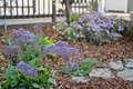 Additional image 82 of 14990 Winchester Blvd, Los Gatos, CA, 95030