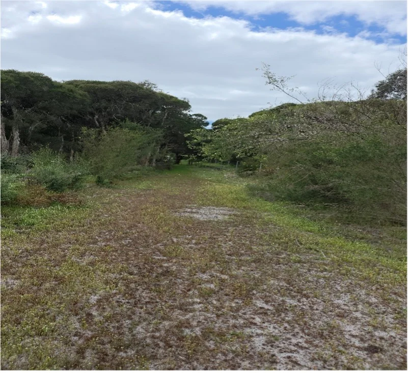 Additional image 12 of 206 De Haer Road, Wandi WA 6167