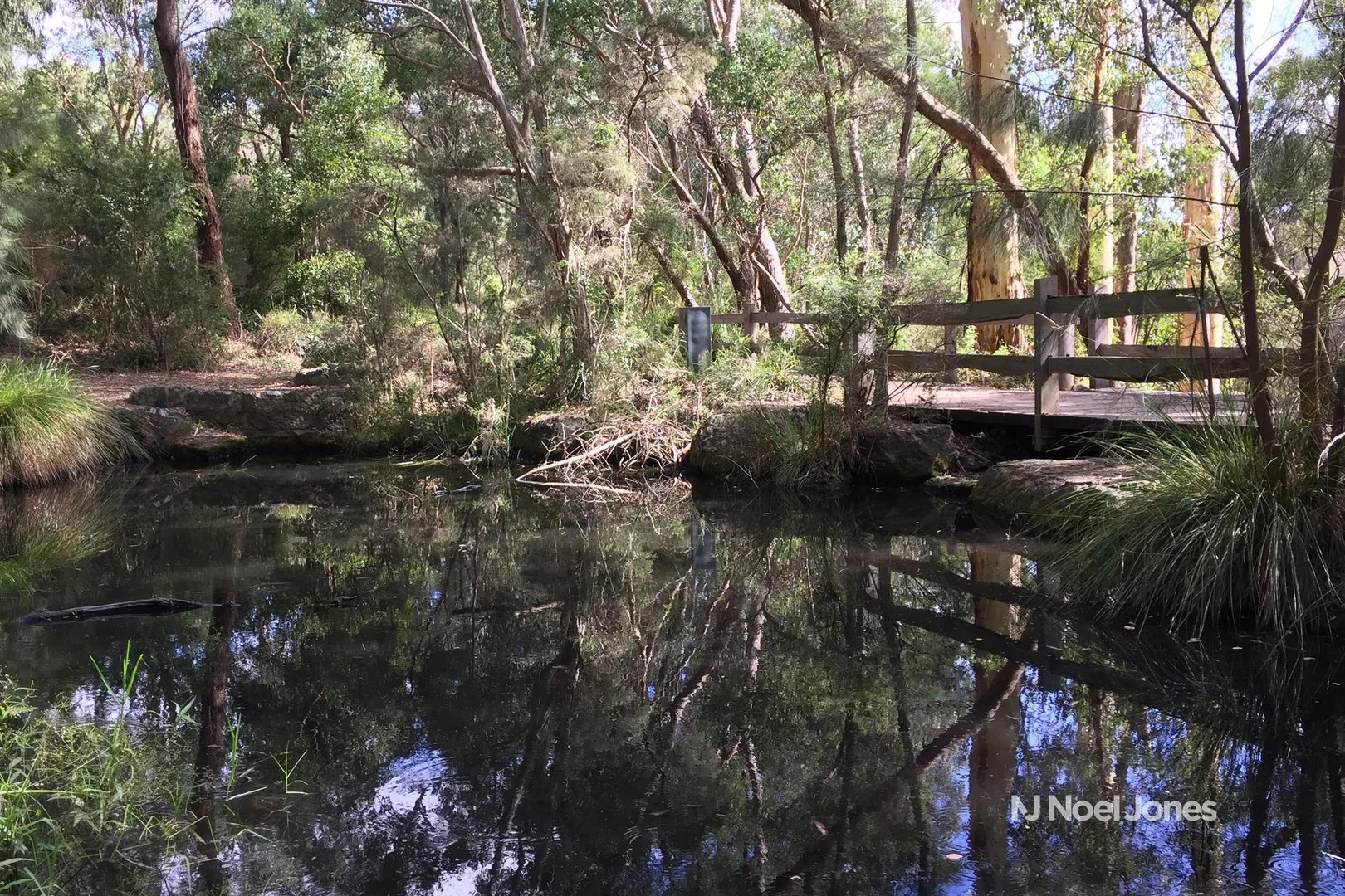 Additional image 10 of 1 Dawe Road, Mitcham VIC 3132