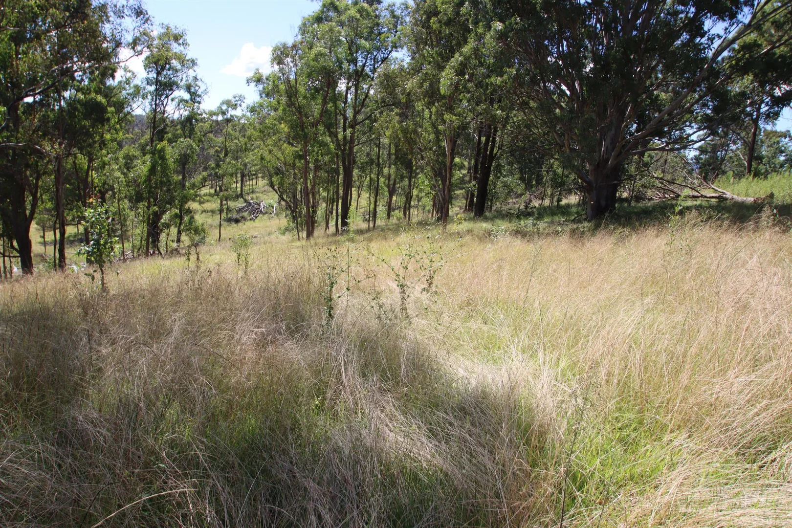 Additional image 10 of 1465 Billirimba Road, Tenterfield NSW 2372