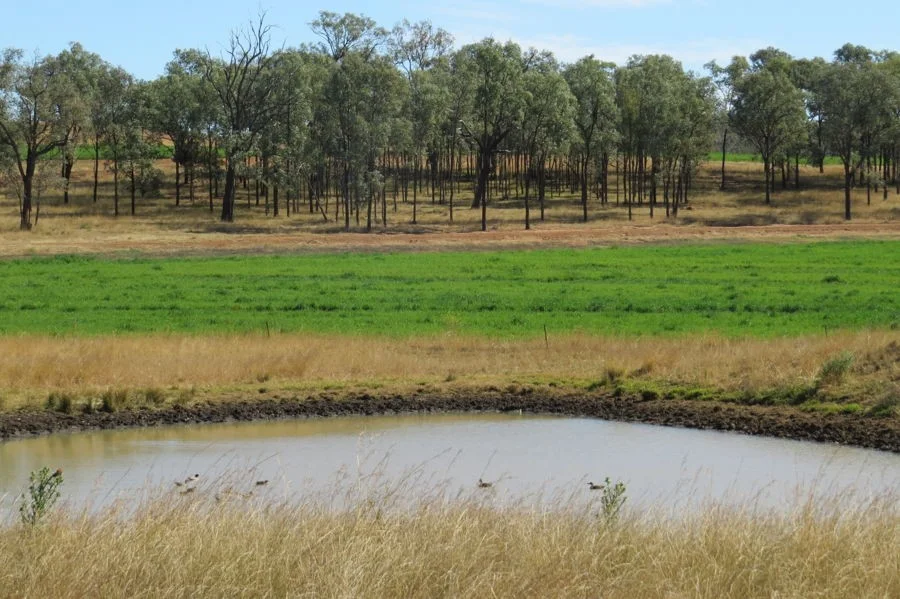 Additional image 2 of 329 Pickfords Road, Yetman NSW 2410