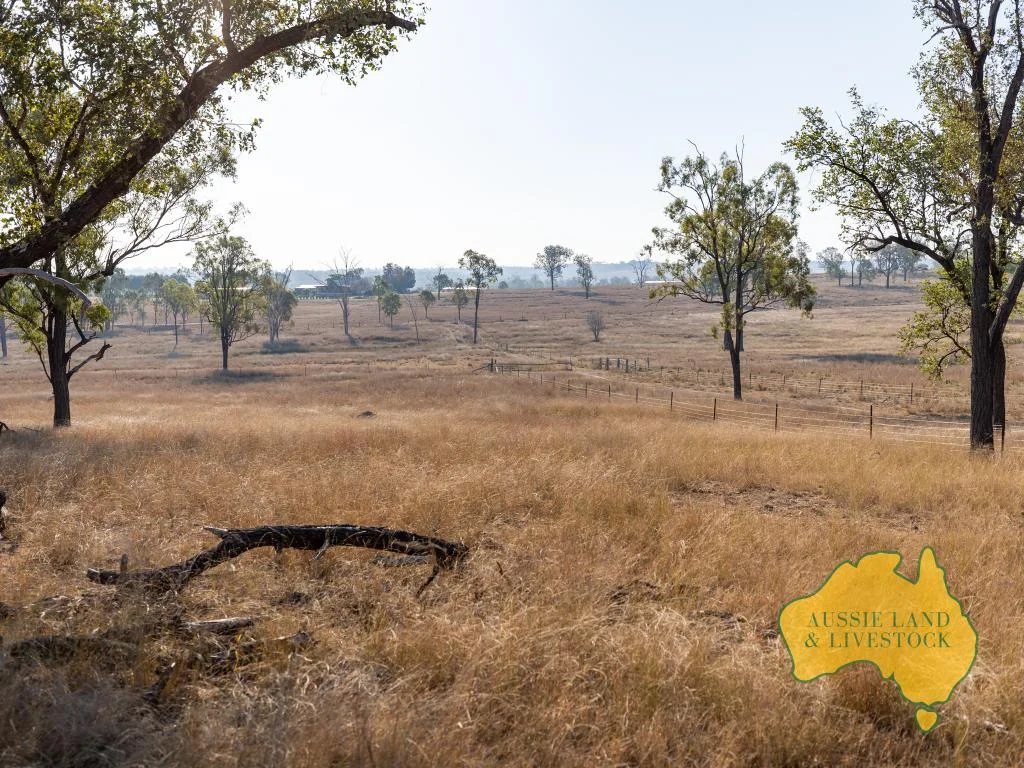 Additional image 45 of 110 BENHAMS ROAD, Mundubbera QLD 4626