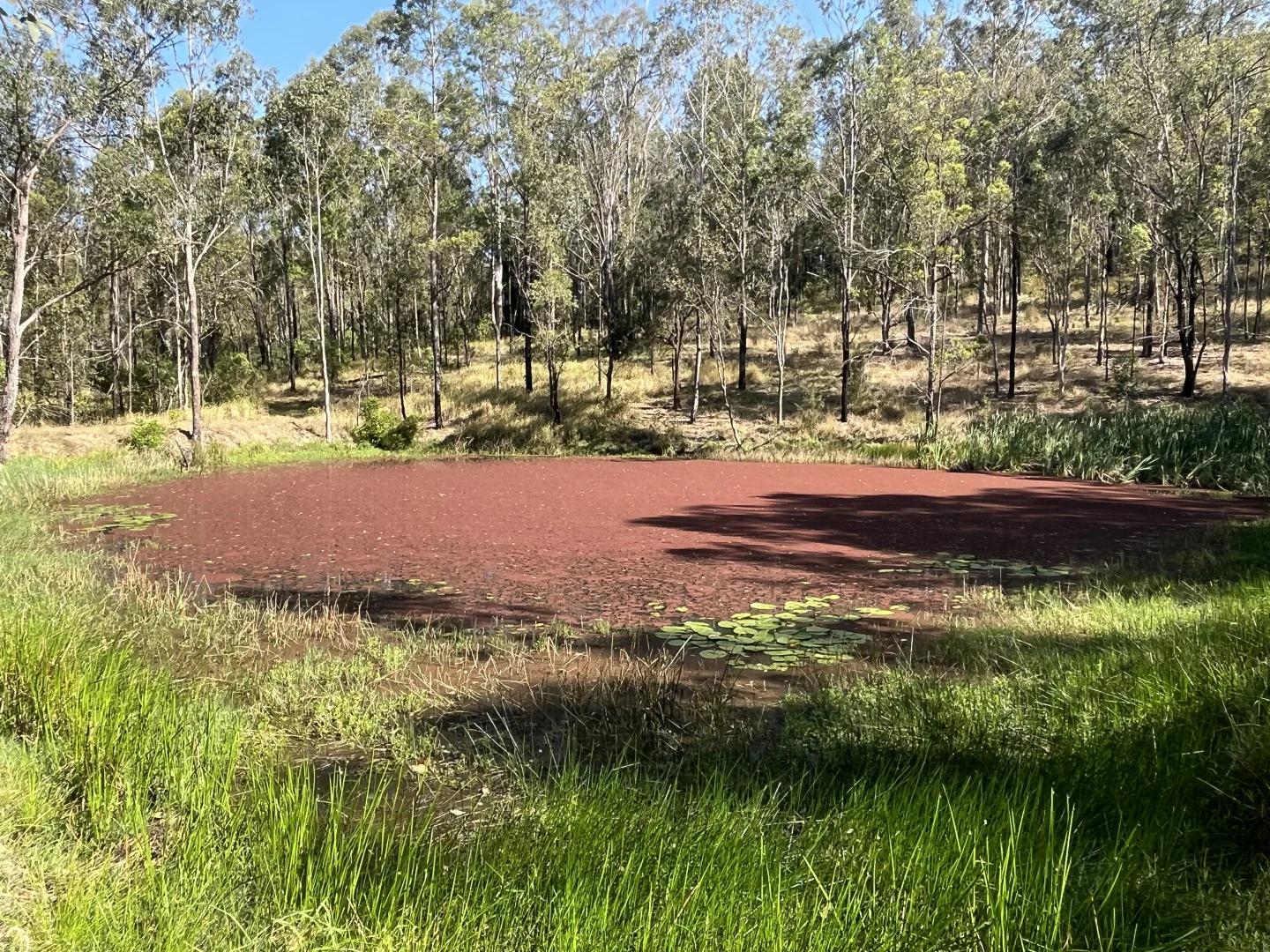 Additional image 6 of 2291 Willi Willi Rd, Moparrabah NSW 2440