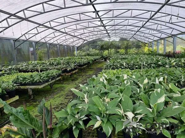 Additional image 33 of 15 Ross Road, Deeral QLD 4871