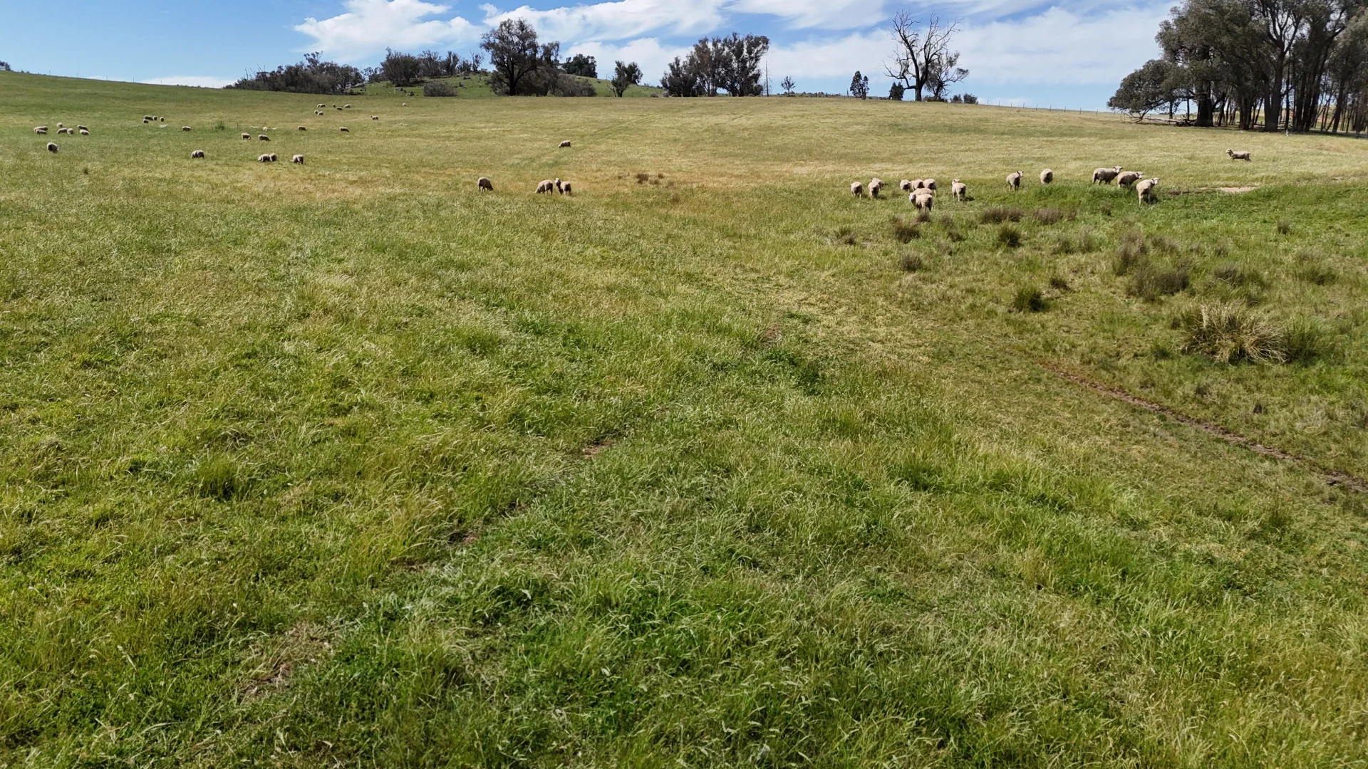 Additional image 5 of Lachlan View, 395 Battery Road, Cowra NSW 2794