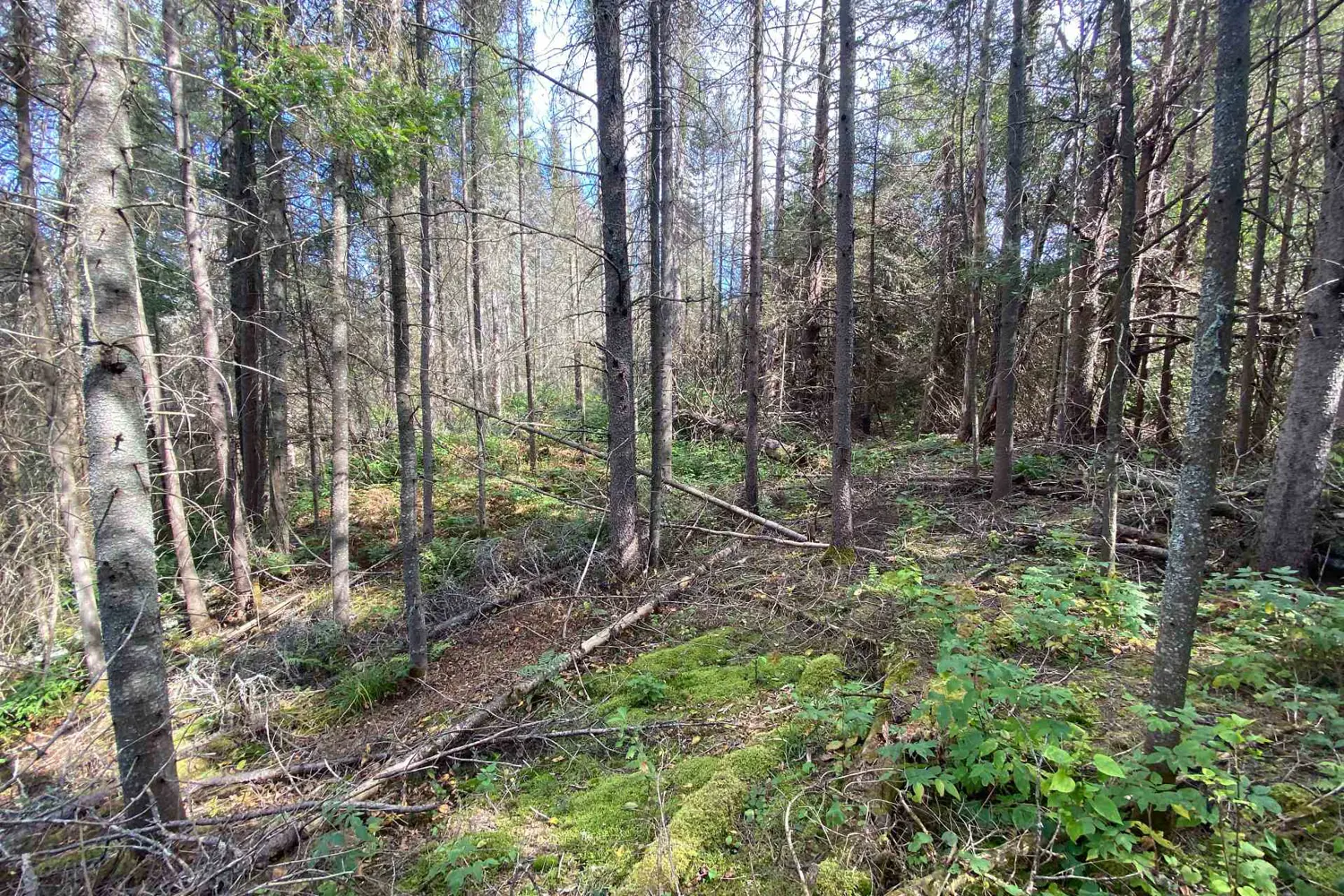 0 Municipal Road