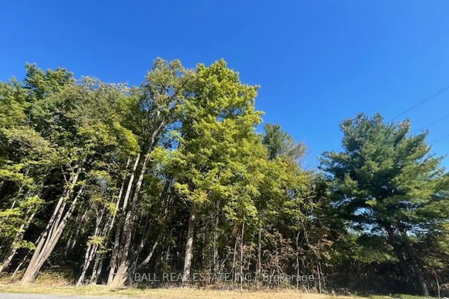 Additional image 7 of Pt 33A & Pt 33B Autumn Road