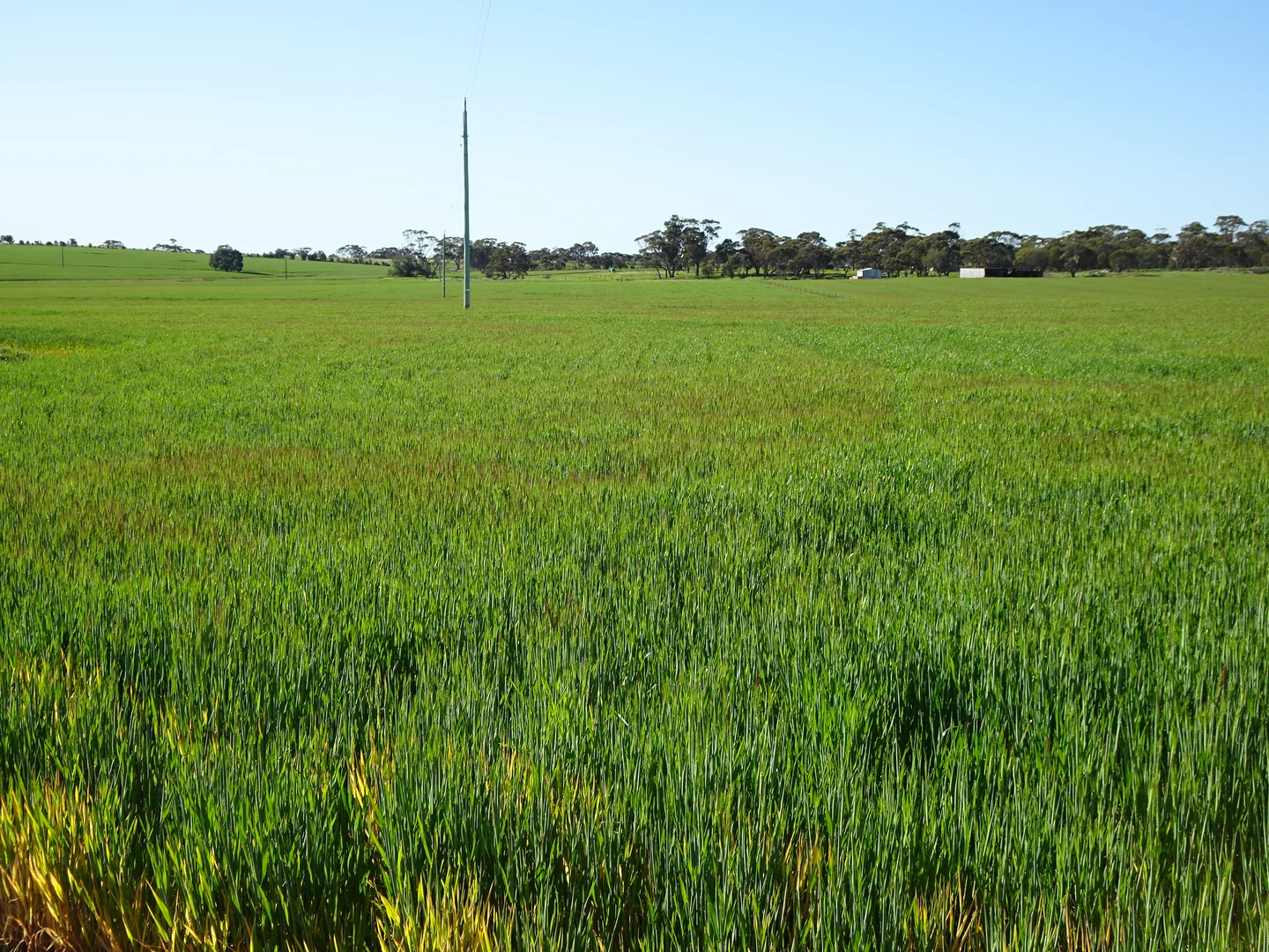 Additional image 10 of 140 Yenellin Road, Pingelly WA 6308