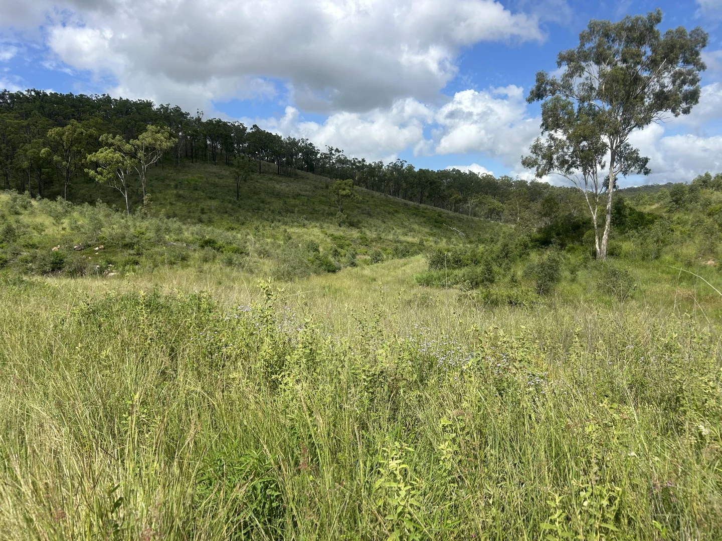 Additional image 2 of 789 Coppin Rd, Monto QLD 4630