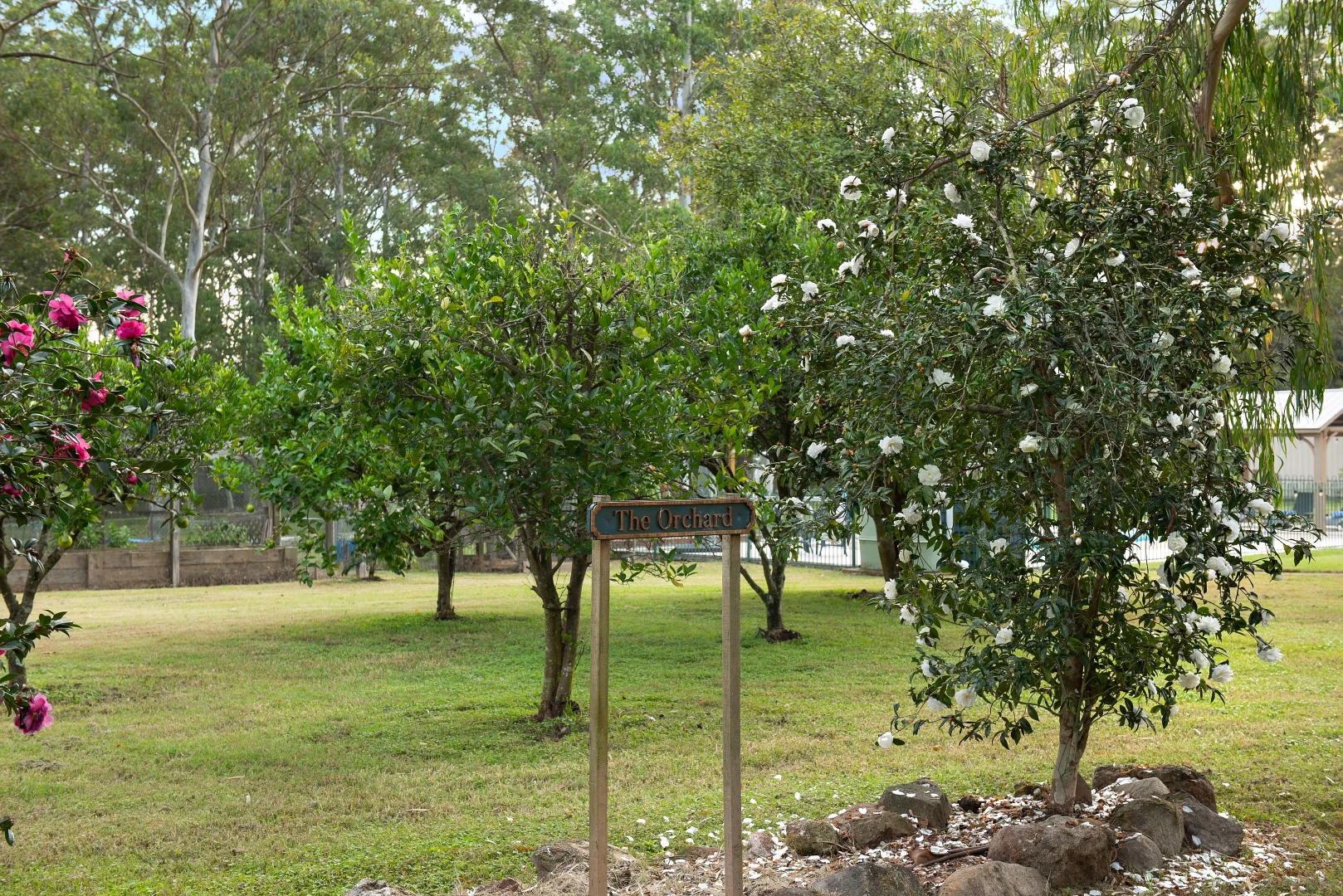 Additional image 6 of 310 Thompsons Lane, Stroud NSW 2425