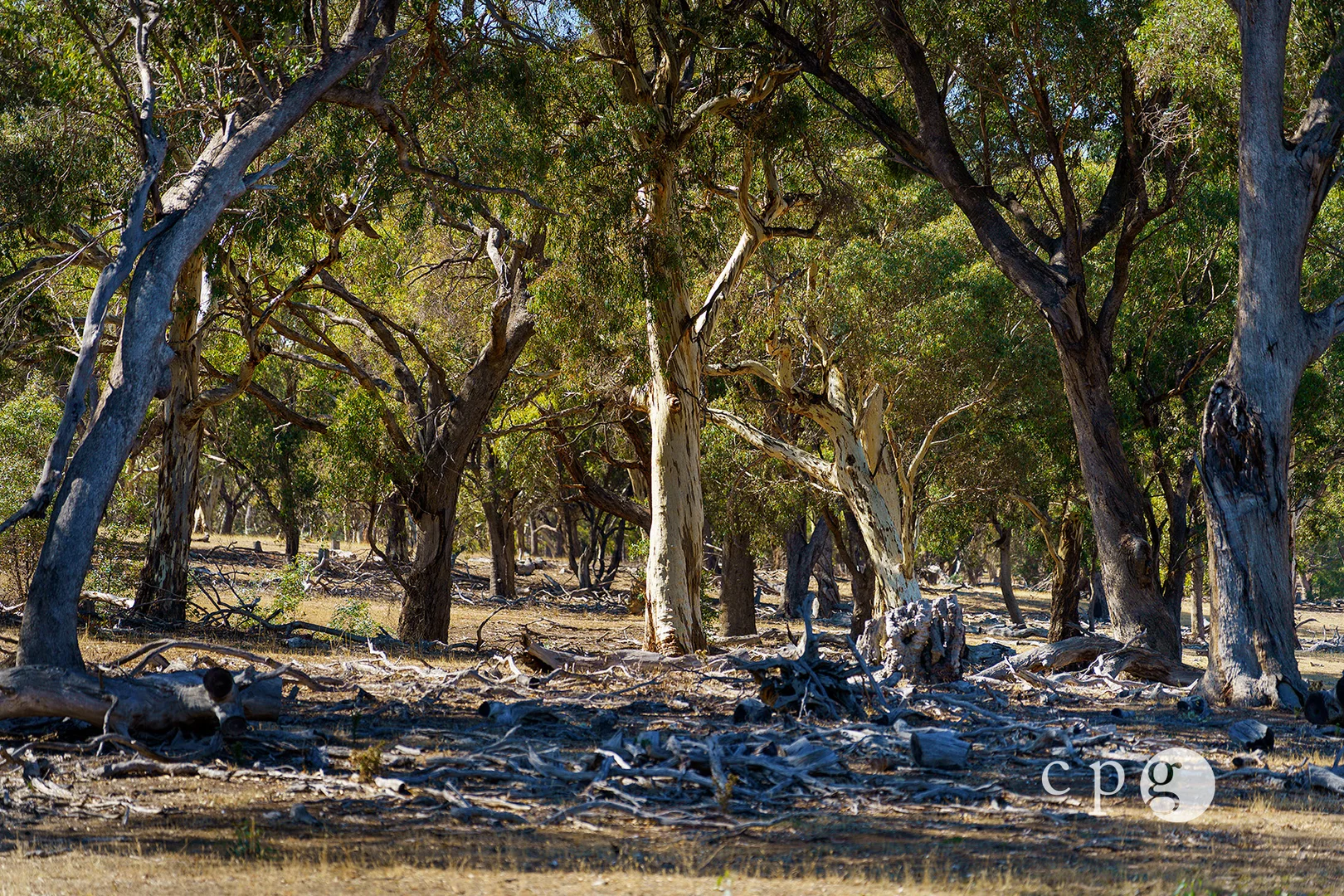 Additional image 9 of 221 Rodborough Road, Joyces Creek VIC 3364