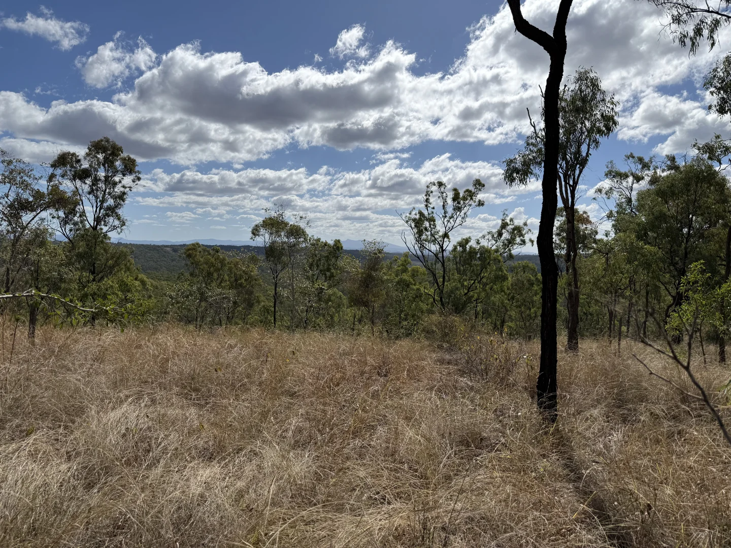 Additional image 14 of 471 Neill Creek Road, Wooderson QLD 4680