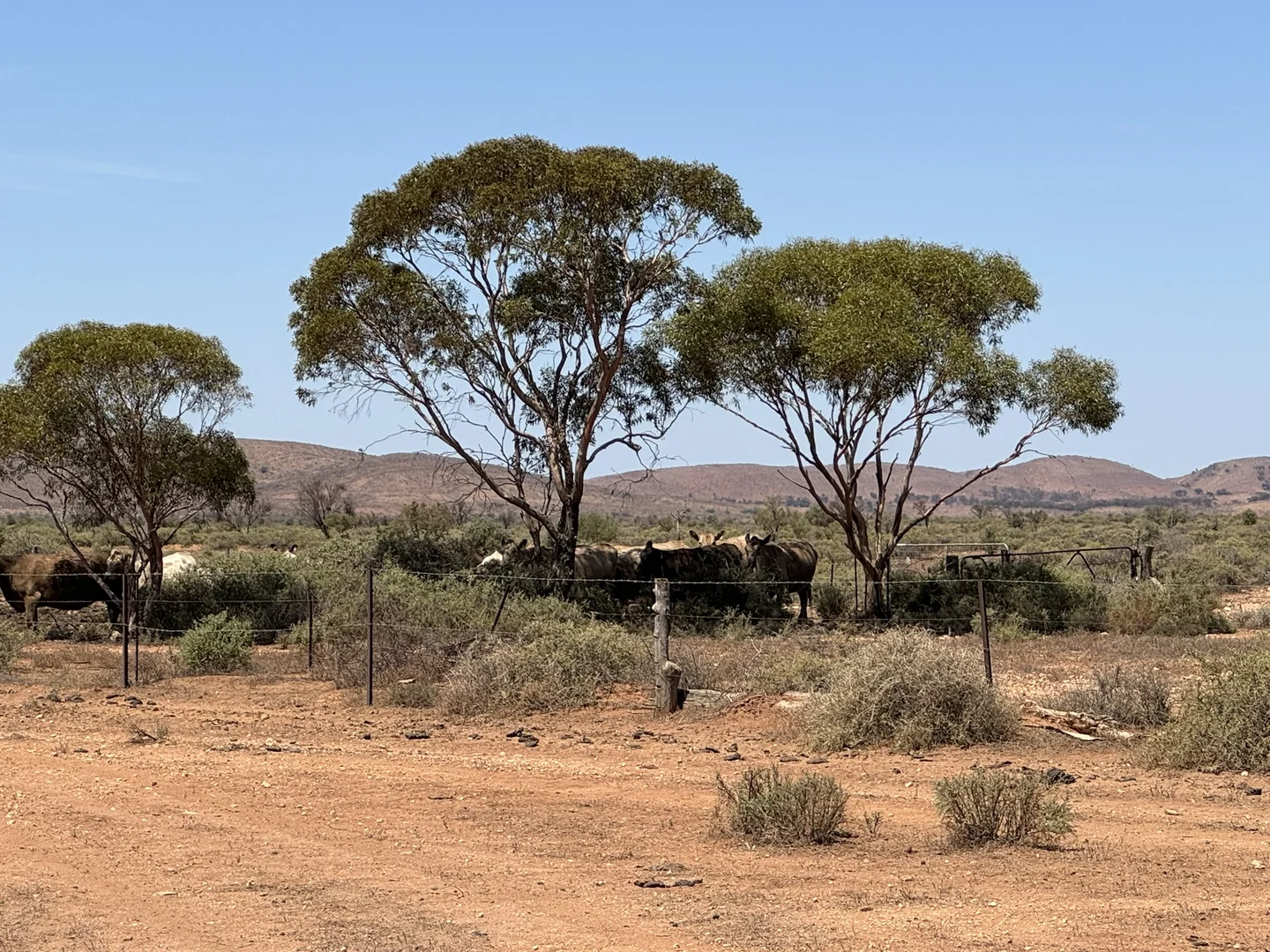 Additional image 27 of Minburra/Lynch Road, Minburra SA 5431