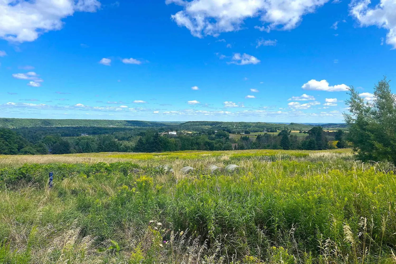 Additional image 13 of 628190 15Th Side Road