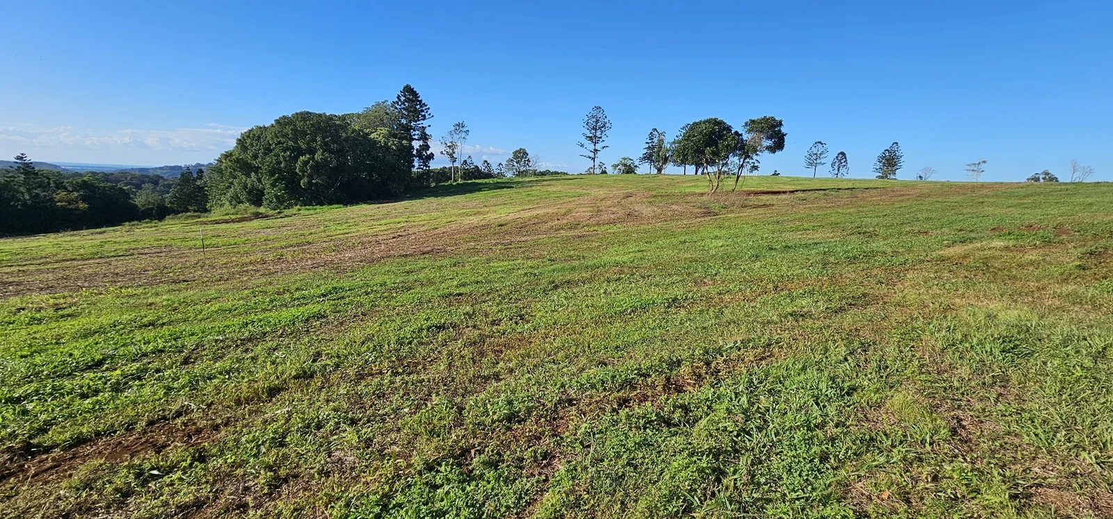 Additional image 7 of Dalwood NSW 2477