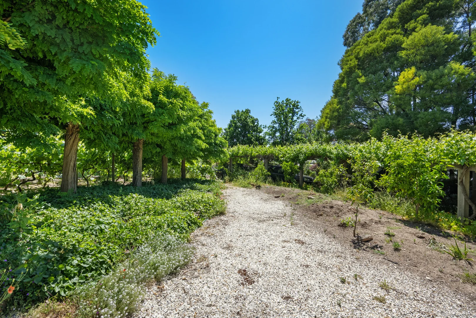 Additional image 5 of 189A Arnold Street, North Bendigo VIC 3550