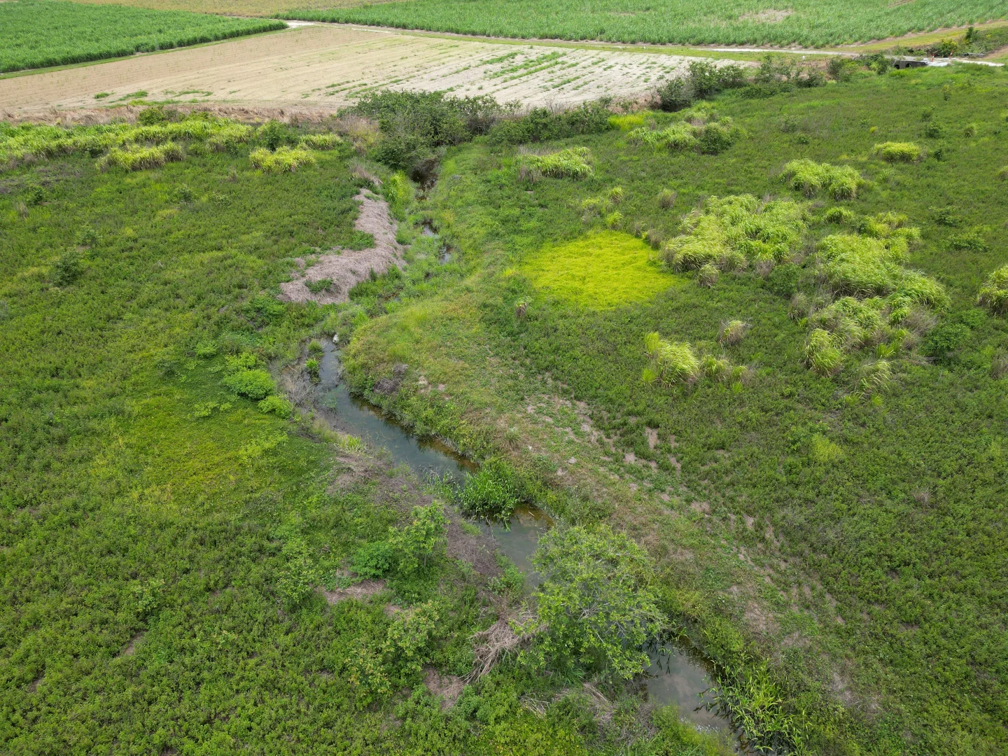 Additional image 14 of 155 Bruce Highway, Feluga QLD 4854