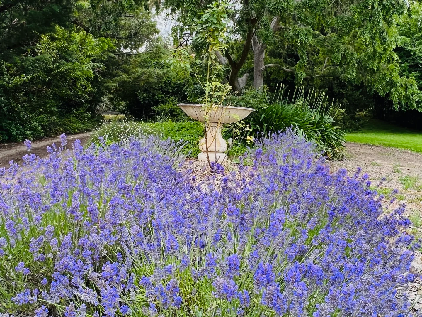 Additional image 4 of 12-18 Queen Street, Boorowa NSW 2586