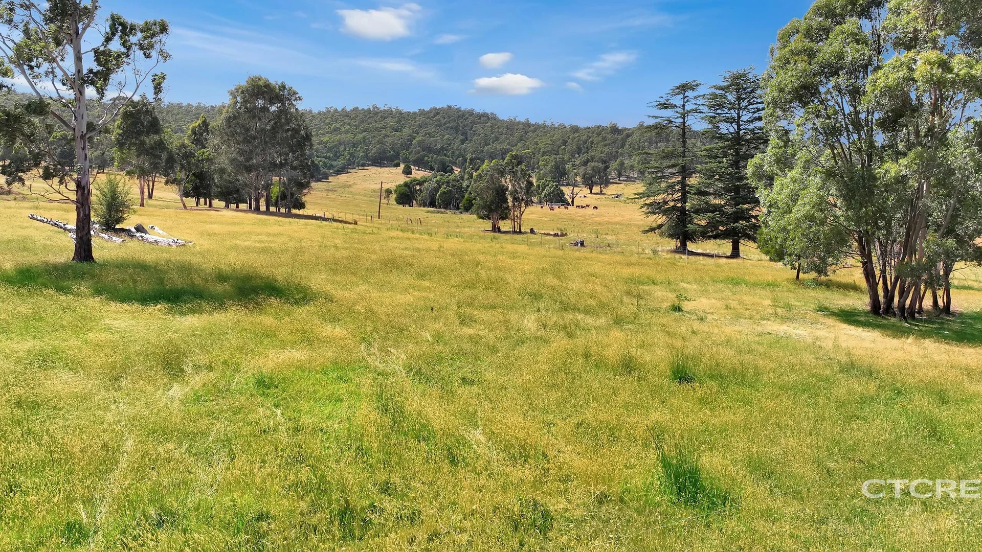 Additional image 9 of 3022 Benambra - Corryong Road, Benambra VIC 3900