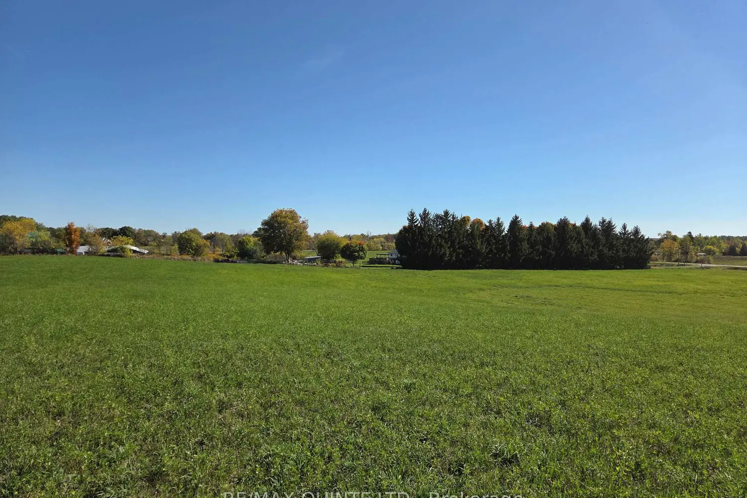 Additional image 18 of 551 Marlbank Road