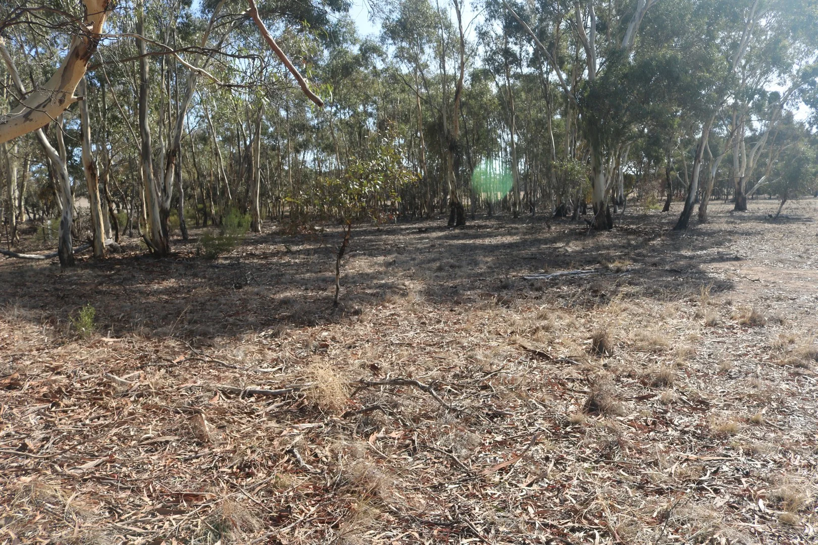 Old Boort Road, Wedderburn VIC 3518